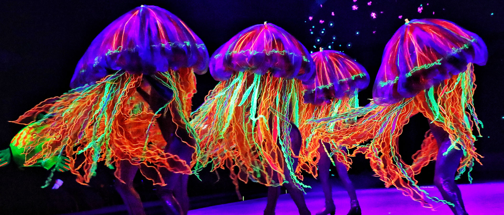 blue banana entertainment your show, our business